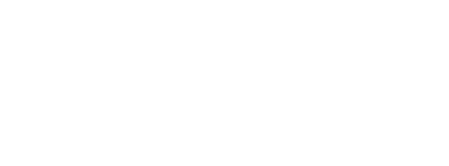 WERD Energia